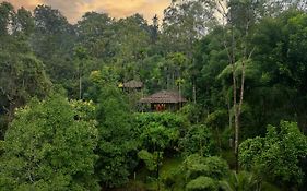 The Woods Resorts Wayanad